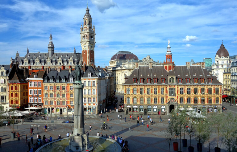 Marché des commerces à Lille